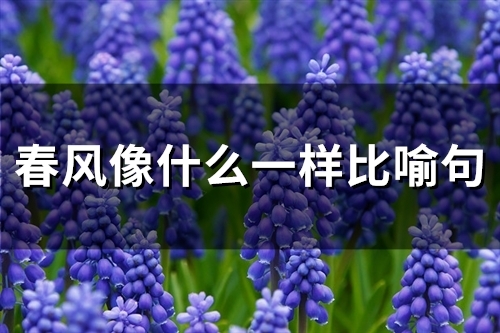 春风像什么一样比喻句(精选54句)