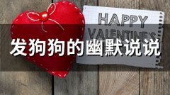 发狗狗的幽默说说(33句)