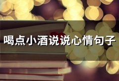 喝点小酒说说心情句子(39句)