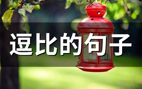 逗比的句子 女生幽默俏皮的朋友圈(精选58句)