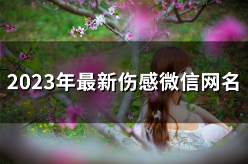 2023年最新伤感微信网名(精选50个)