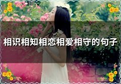 相识相知相恋相爱相守的句子(42句)