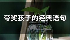 夸奖孩子的经典语句(51句)