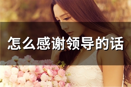 怎么感谢领导的话(58句) 怎么感谢领导的话(58句)