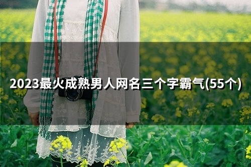 2023最火成熟男人网名三个字霸气(49个) 2023最火成熟男人网名三个字霸气(49个)