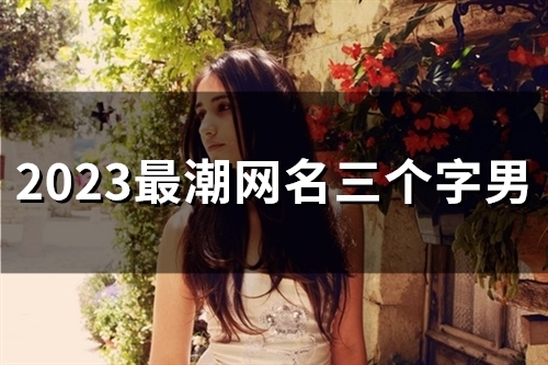 2023最潮网名三个字男(48个) 2023最潮网名三个字男(48个)