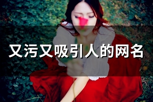 又污又吸引人的网名(47个)