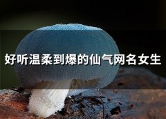 好听温柔到爆的仙气网名女生(精选45个)