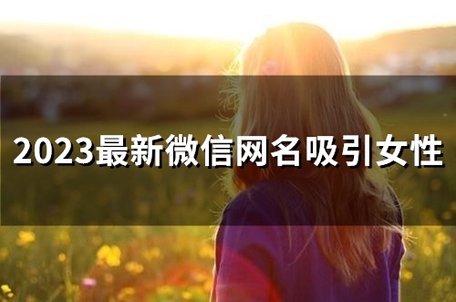 2023最新微信网名吸引女性(58个)