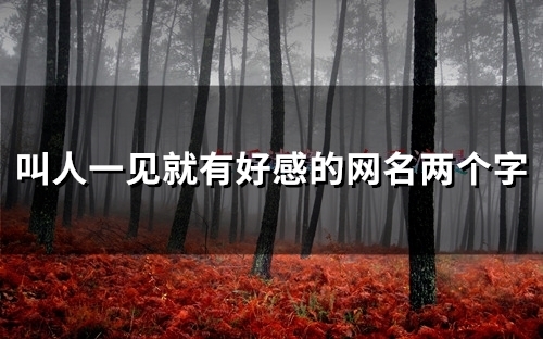 叫人一见就有好感的网名两个字(59个) 叫人一见就有好感的网名两个字(59个)