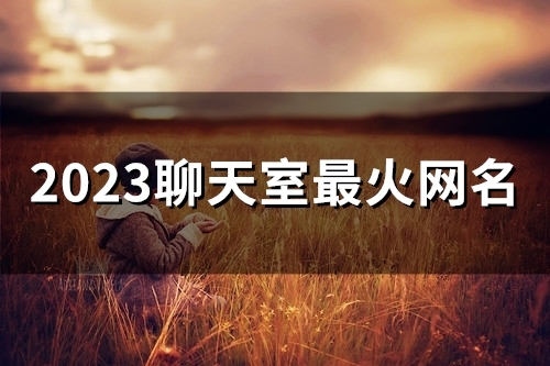 2023聊天室最火网名(54个)