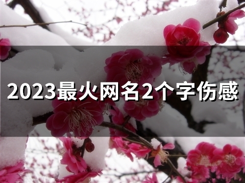 2023最火网名2个字伤感(47个)