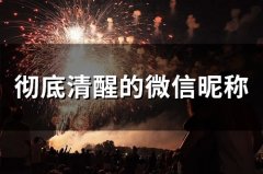 彻底清醒的微信昵称(精选46个)