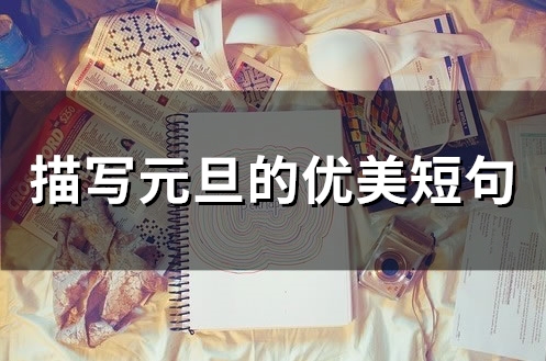 描写元旦的优美短句(精选48句) 描写元旦的优美短句(精选48句)