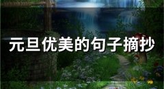 元旦优美的句子摘抄(精选57句)