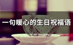 一句暖心的生日祝福语(精选45句)