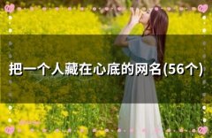 把一个人藏在心底的网名(47个)
