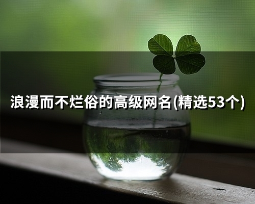 浪漫而不烂俗的高级网名(精选42个)