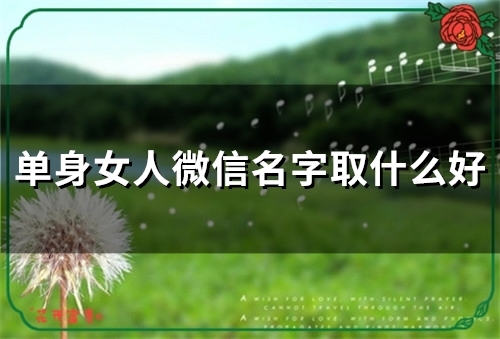 单身女人微信名字取什么好(精选58个)
