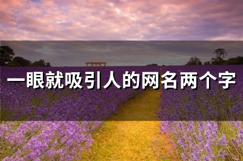 一眼就吸引人的网名两个字(56个) 一眼就吸引人的网名两个字(56个)