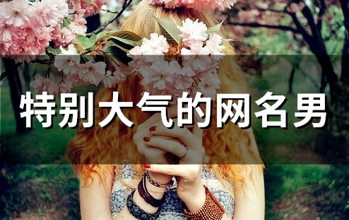 特别大气的网名男(精选53个)