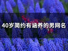40岁简约有涵养的男网名(54个)