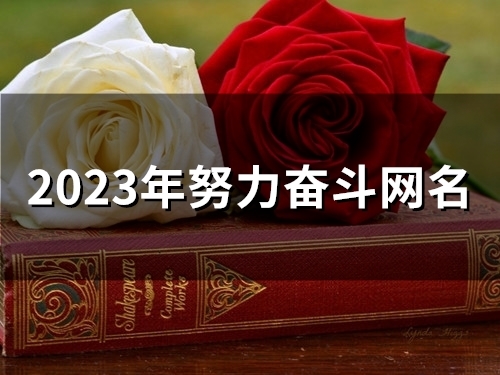 2023年努力奋斗网名(精选57个) 2023年努力奋斗网名(精选57个)