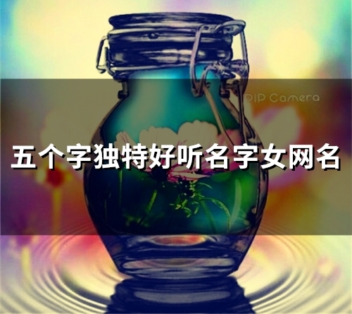 五个字独特好听名字女网名(50个)