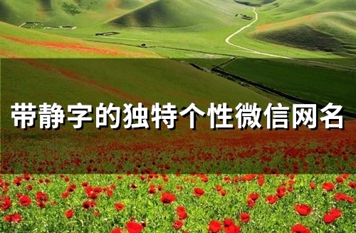 带静字的独特个性微信网名(精选38个) 带静字的独特个性微信网名(精选38个)