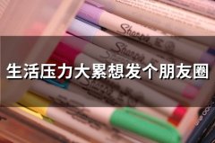 生活压力大累想发个朋友圈(36句)