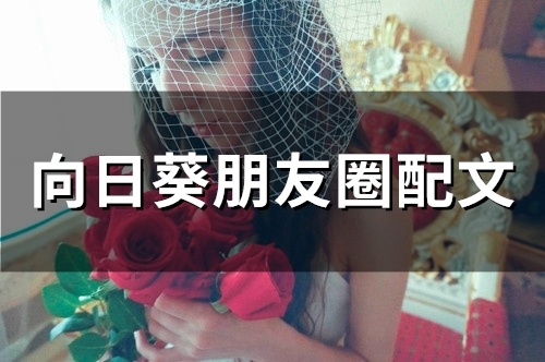 向日葵朋友圈配文(精选52句)