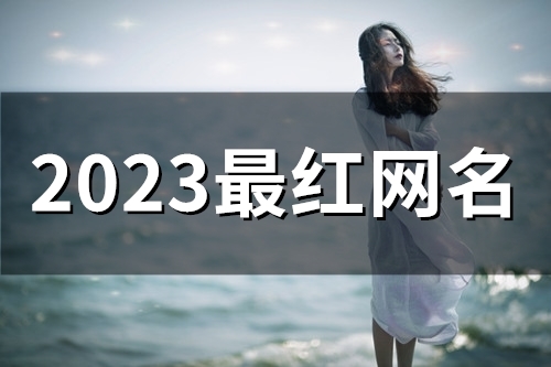 2023最红网名(56个) 2023最红网名(56个)