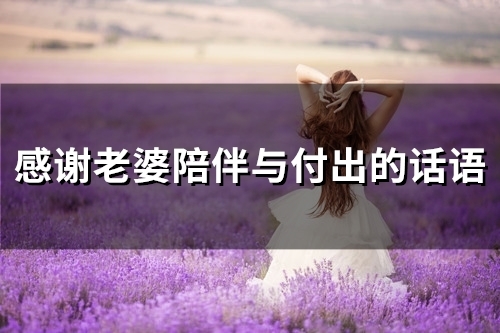 感谢老婆陪伴与付出的话语(44句)