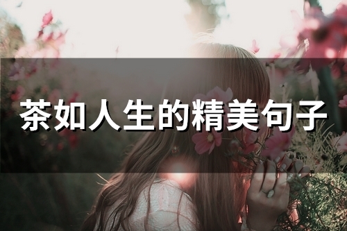 茶如人生的精美句子(精选45句)