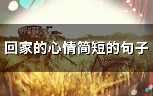 回家的心情简短的句子(51句)