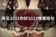 再见2022你好2023唯美短句(49句)