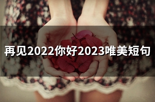 再见2022你好2023唯美短句(49句)