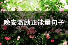 晚安激励正能量句子(精选51句)