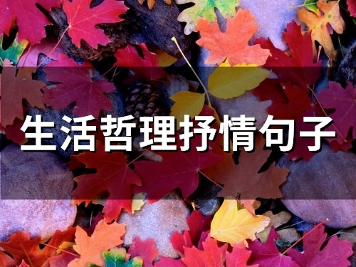 生活哲理抒情句子(精选60句) 生活哲理抒情句子(精选60句)