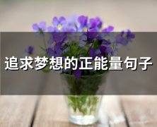 追求梦想的正能量句子(52句)