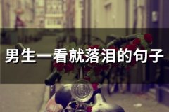 男生一看就落泪的句子(精选45句)