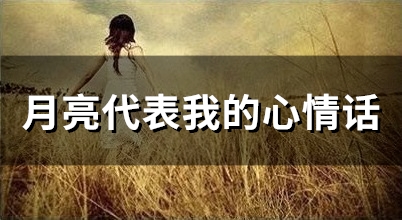 月亮代表我的心情话(56句)