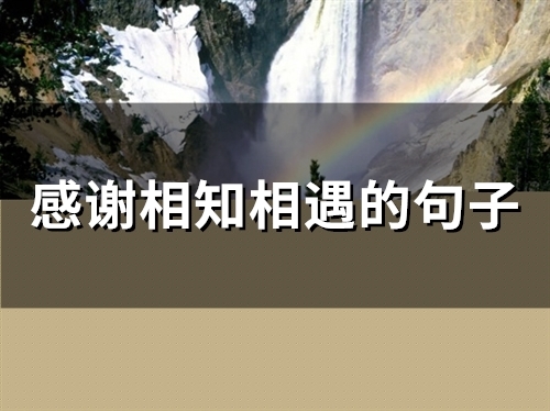 感谢相知相遇的句子(45句)