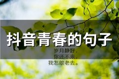 抖音青春的句子(精选38句)