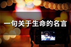 一句关于生命的名言(43个)