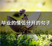 毕业的情侣分开的句子(54句)