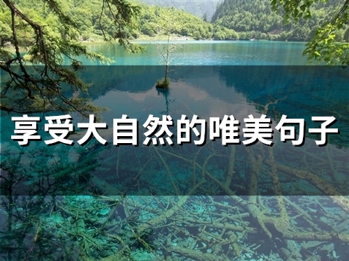 享受大自然的唯美句子(53句)