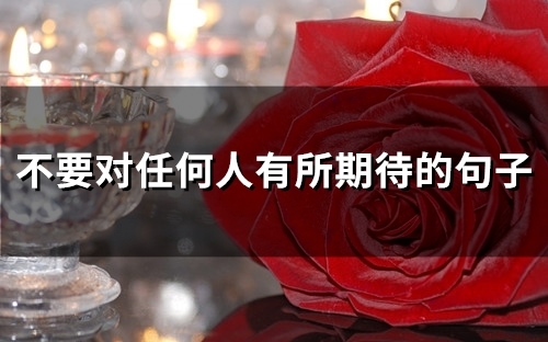 不要对任何人有所期待的句子(51句) 不要对任何人有所期待的句子(51句)