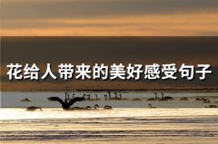 花给人带来的美好感受句子(精选48句)