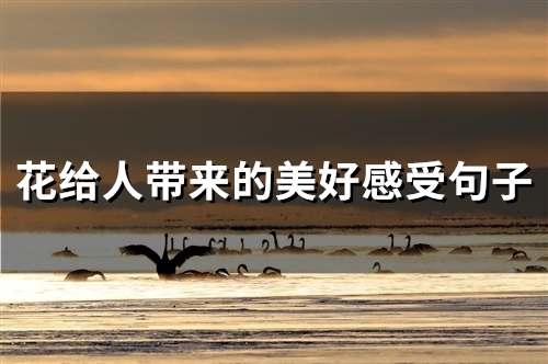 花给人带来的美好感受句子(精选48句)